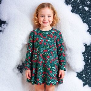 Hanna Andersson Print A-Line Dress 
Poinsettia Patch
